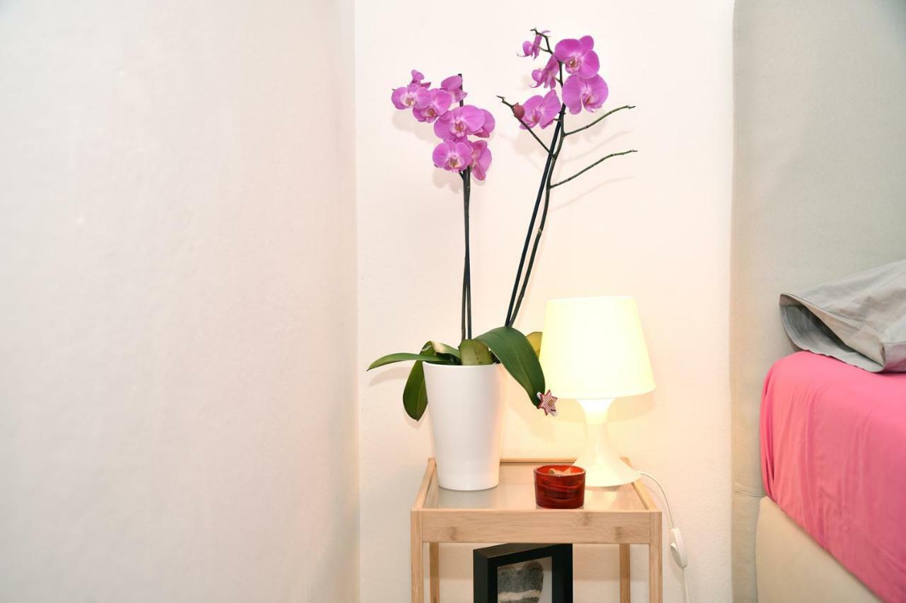 Studio Apartman D Διαμέρισμα Sesvete Εξωτερικό φωτογραφία