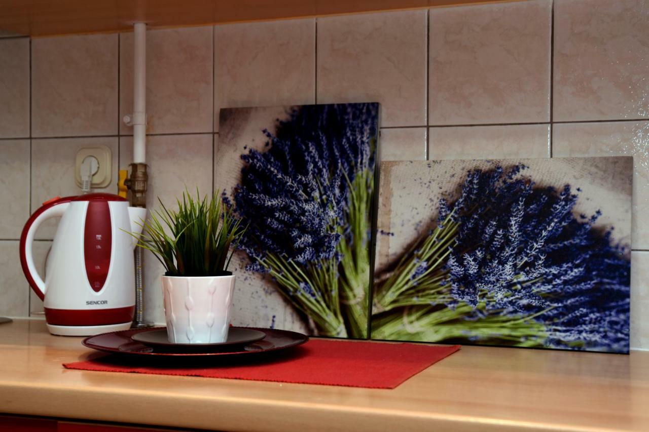 Studio Apartman D Διαμέρισμα Sesvete Εξωτερικό φωτογραφία