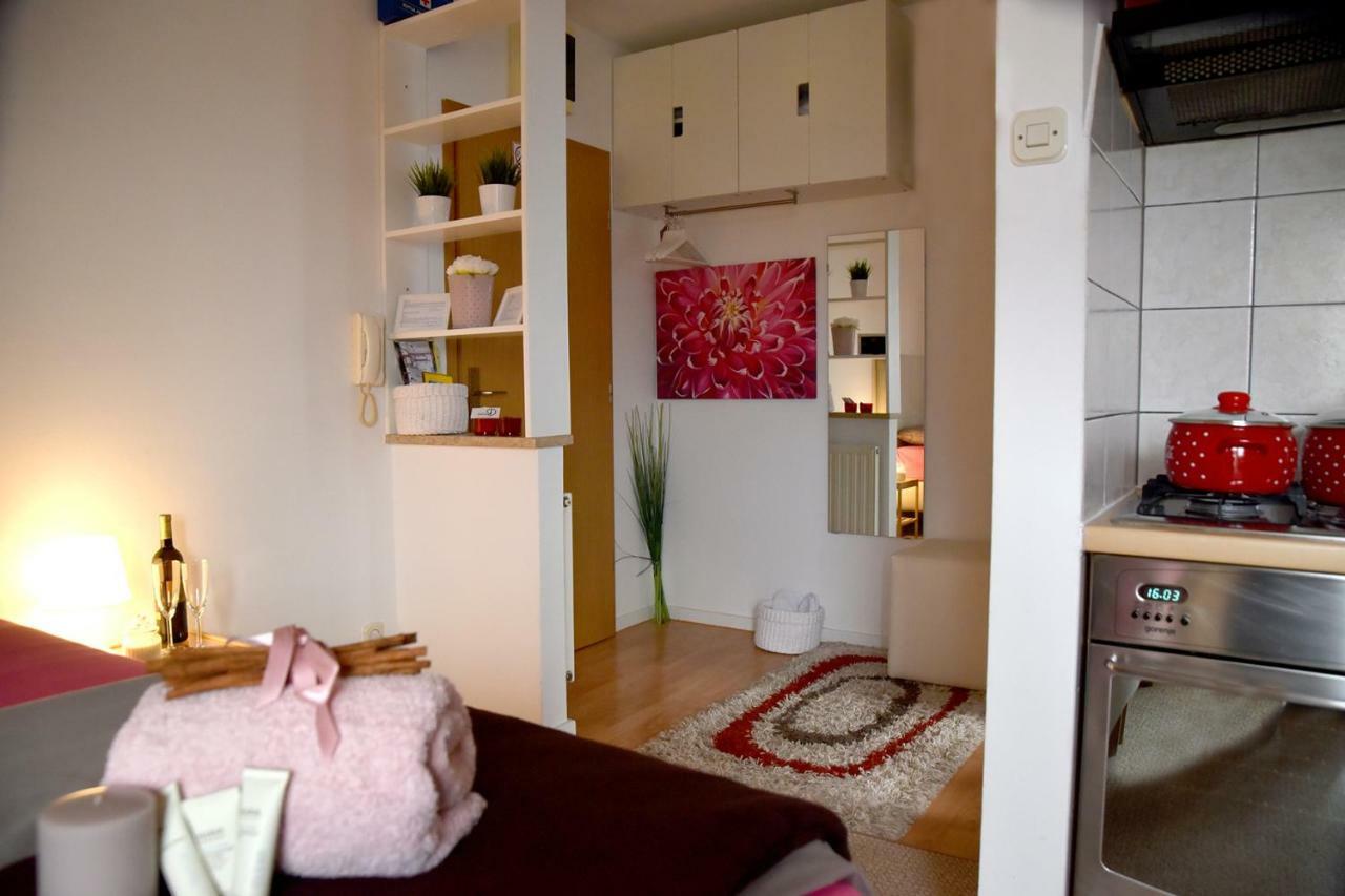 Studio Apartman D Διαμέρισμα Sesvete Εξωτερικό φωτογραφία